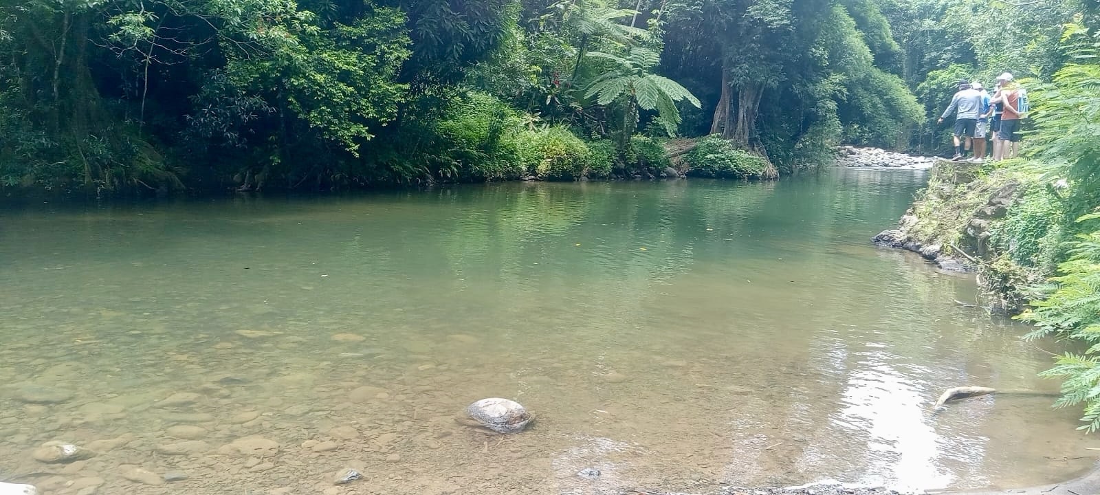 Los vecinos se empoderan y luchan por acceso al Río Mameyes en El ...
